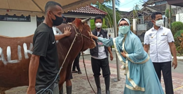 Walikota RM Sumbang Sapi Kurban di Islamic Centre. Total 10 Sapi dan 2 Kambing, Pengambilan Pukul 13.00 Wita