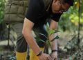 Aksi Nyata, PTMB Tanam 100 Mangrove. Yudhi: Sempat Hujan, Realisasi Jaga Pesisir