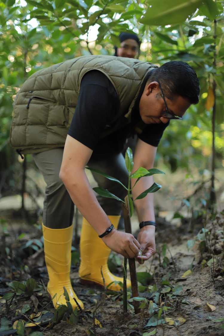 Aksi Nyata, PTMB Tanam 100 Mangrove. Yudhi: Sempat Hujan, Realisasi Jaga Pesisir