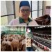 Baznas Kaltim Budidaya Domba dan Ayam Petelur. Audit Syariah Irjen Kemenag Predikat ‘Sangat Baik’