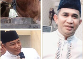 Sapi Presiden 1 Ton Asal Teritip Disembelih di BIC. Walikota Menerima Penyerahan Usai Ashar
