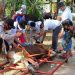 Pisau Wajib Tajam dan Penjagal Tak Boleh Dibayar Daging atau Kulit. Sembelih Kurban, Masjid Asy-Syifa Gunakan Perebah Sapi