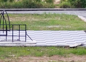 13 Ekor Sapi Islamic Centre Sudah Dikarantina. Sabtu Sembelih, Penukaran Kupon hingga Pukul 17.00 Wita