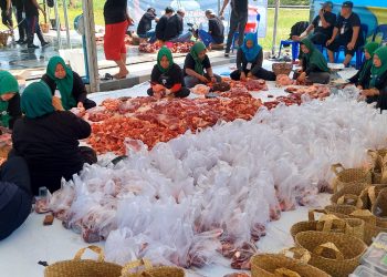 Sapi Walikota 300 Kg, Dipotong Pertama di BIC. Kebersihan Terjaga, Terimakasih Shohibul Qurban