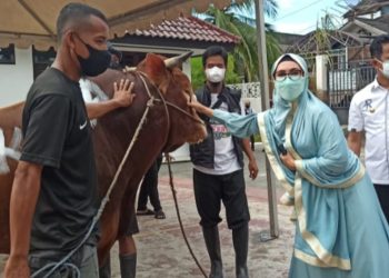 Walikota RM Sumbang Sapi Kurban di Islamic Centre. Total 10 Sapi dan 2 Kambing, Pengambilan Pukul 13.00 Wita