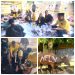 16 Anggota Dewan Fraksi Golkar Kurban 16 Ekor Sapi. Bendum: Terimakasih, Ini Dimensi Solidaritas DPRD