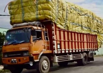 ODOL ‘Monster’ Jahat, Dibuat Zero dari Niat (Aspek Ekonomi vs Law Enforcement)