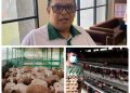 Baznas Kaltim Budidaya Domba dan Ayam Petelur. Audit Syariah Irjen Kemenag Predikat ‘Sangat Baik’