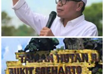 ‘Palu Godam’ Prabowo di Hutan Kaltim