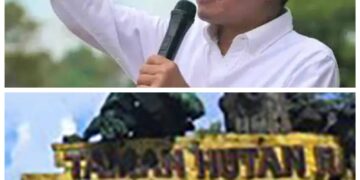 ‘Palu Godam’ Prabowo di Hutan Kaltim
