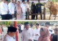 Walikota: Terimakasih Presiden dan Shohibul Qurban. Bison Ditangani 4 Penjagal dari RPH