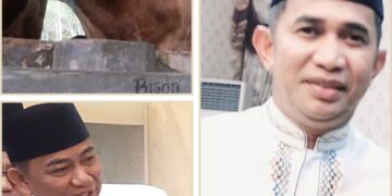Sapi Presiden 1 Ton Asal Teritip Disembelih di BIC. Walikota Menerima Penyerahan Usai Ashar