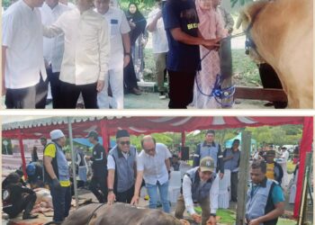 Ketua Kadin Balikpapan Kurban 25 Ekor Sapi. Serahkan Bantuan 1 Sapi di Masjid BIC