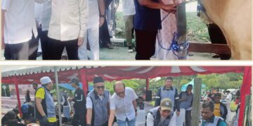 Ketua Kadin Balikpapan Kurban 25 Ekor Sapi. Serahkan Bantuan 1 Sapi di Masjid BIC