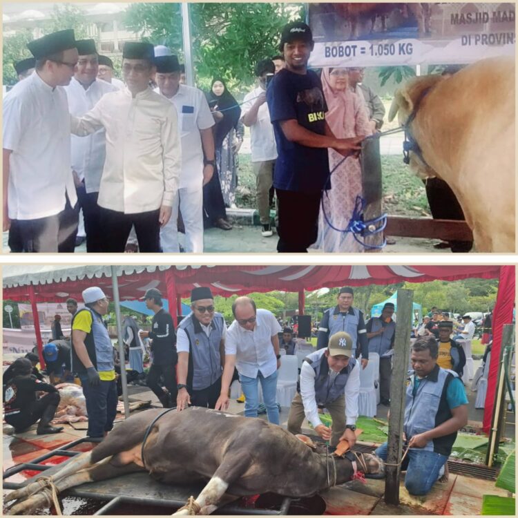 Ketua Kadin Balikpapan Kurban 25 Ekor Sapi. Serahkan Bantuan 1 Sapi di Masjid BIC