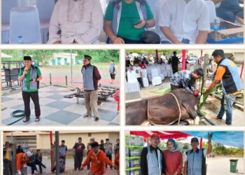 Kurban di Masjid BIC Naik 100 Persen Lebih. Andi Yusri: Terimakasih Shohibul Qurban dan Panitia
