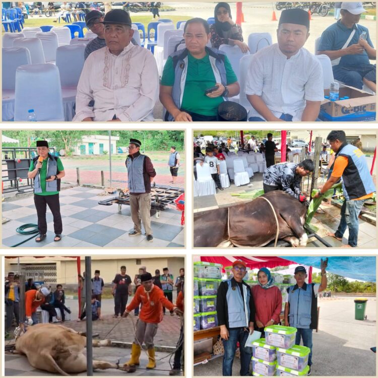 Kurban di Masjid BIC Naik 100 Persen Lebih. Andi Yusri: Terimakasih Shohibul Qurban dan Panitia
